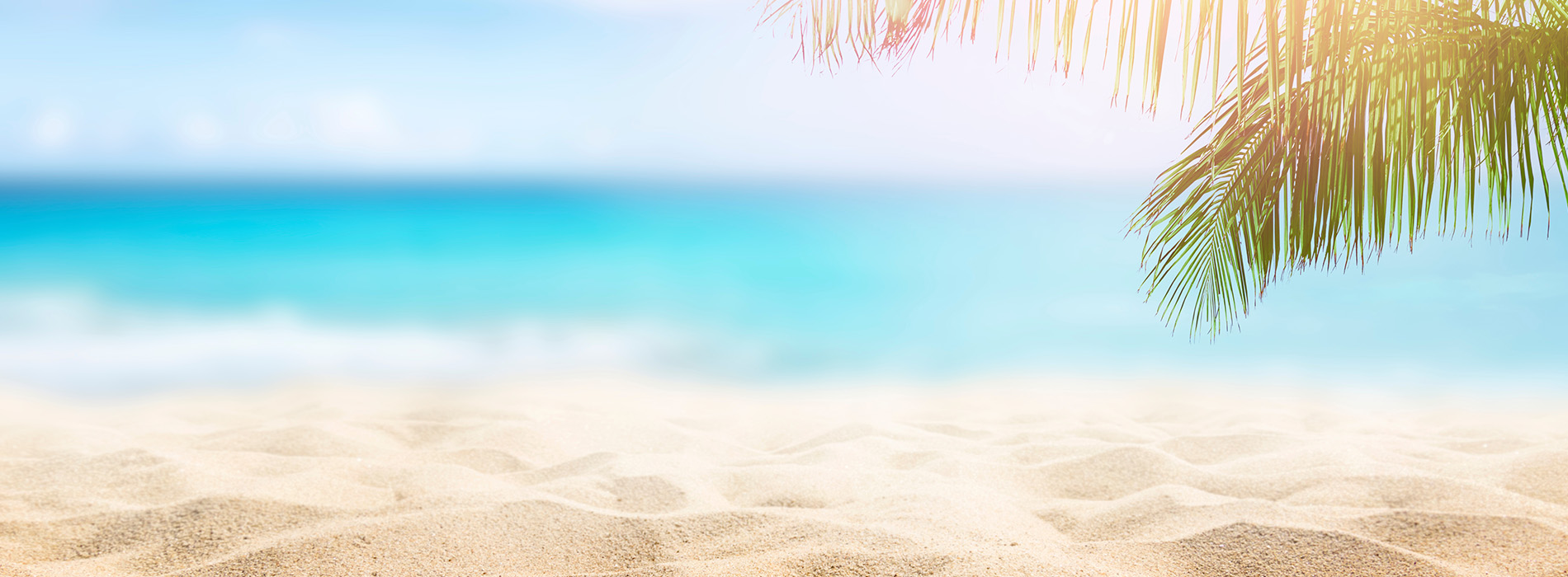 A tropical beach scene with palm trees and a clear blue sky.