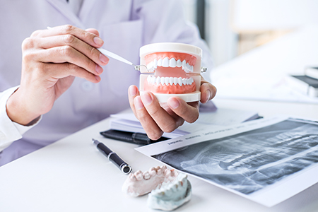 The image shows a dental professional holding a model set of teeth in their hands, with a close-up view of them examining the teeth, while another photo captures them holding a toothbrush and other dental tools next to an X-ray image.